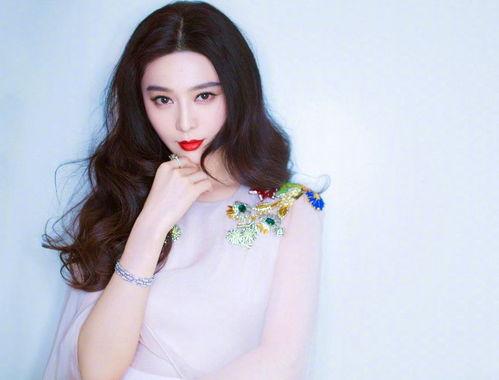 批评明星高工资,高收入背后的社会反思与伦理考量